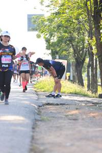 BIB: 
                            <button type="button" onclick="openModal(3769615)" class="btn btn-primary btn-sm float-right btn-popup" data-toggle="modal" data-target=".modal-high-quality">
                        <i class="fas fa-shopping-cart"></i> Add to Cart
                    </button>
                                            <button type="button" onclick="isThisMe(3769615, true)" class="btn btn-success btn-sm float-right btn-popup btn-isme hidden" data-toggle="tooltip" data-placement="bottom" title="นี่คือรูปของคุณใช่ไหม คลิกที่นี่เพื่อเอาเข้าอัลบั้ม">
                        <i class="fas fa-plus"></i> Add to album
                    </button>
                    <button type="button" onclick="isThisMe(3769615, false)" class="btn btn-warning btn-sm float-right btn-popup btn-isnotme hidden">
                        <i class="fas fa-ban"></i> Remove from album
                    </button>