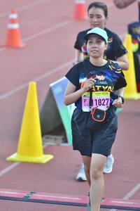 BIB: 
                            <button type="button" onclick="openModal(3543788)" class="btn btn-primary btn-sm float-right btn-popup" data-toggle="modal" data-target=".modal-high-quality">
                        <i class="fas fa-shopping-cart"></i> Add to Cart
                    </button>
                                            <button type="button" onclick="isThisMe(3543788, true)" class="btn btn-success btn-sm float-right btn-popup btn-isme hidden" data-toggle="tooltip" data-placement="bottom" title="นี่คือรูปของคุณใช่ไหม คลิกที่นี่เพื่อเอาเข้าอัลบั้ม">
                        <i class="fas fa-plus"></i> Add to album
                    </button>
                    <button type="button" onclick="isThisMe(3543788, false)" class="btn btn-warning btn-sm float-right btn-popup btn-isnotme hidden">
                        <i class="fas fa-ban"></i> Remove from album
                    </button>