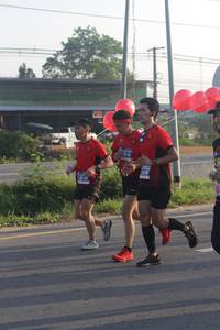 BIB: 
                            <button type="button" onclick="openModal(3695356)" class="btn btn-primary btn-sm float-right btn-popup" data-toggle="modal" data-target=".modal-high-quality">
                        <i class="fas fa-shopping-cart"></i> Add to Cart
                    </button>
                                            <button type="button" onclick="isThisMe(3695356, true)" class="btn btn-success btn-sm float-right btn-popup btn-isme hidden" data-toggle="tooltip" data-placement="bottom" title="นี่คือรูปของคุณใช่ไหม คลิกที่นี่เพื่อเอาเข้าอัลบั้ม">
                        <i class="fas fa-plus"></i> Add to album
                    </button>
                    <button type="button" onclick="isThisMe(3695356, false)" class="btn btn-warning btn-sm float-right btn-popup btn-isnotme hidden">
                        <i class="fas fa-ban"></i> Remove from album
                    </button>