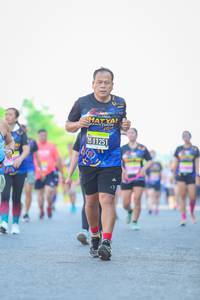 BIB: 
                            <button type="button" onclick="openModal(3649804)" class="btn btn-primary btn-sm float-right btn-popup" data-toggle="modal" data-target=".modal-high-quality">
                        <i class="fas fa-shopping-cart"></i> Add to Cart
                    </button>
                                            <button type="button" onclick="isThisMe(3649804, true)" class="btn btn-success btn-sm float-right btn-popup btn-isme hidden" data-toggle="tooltip" data-placement="bottom" title="นี่คือรูปของคุณใช่ไหม คลิกที่นี่เพื่อเอาเข้าอัลบั้ม">
                        <i class="fas fa-plus"></i> Add to album
                    </button>
                    <button type="button" onclick="isThisMe(3649804, false)" class="btn btn-warning btn-sm float-right btn-popup btn-isnotme hidden">
                        <i class="fas fa-ban"></i> Remove from album
                    </button>