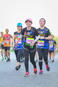 BIB: 11511776, 379
                            <button type="button" onclick="openModal(3623151)" class="btn btn-primary btn-sm float-right btn-popup" data-toggle="modal" data-target=".modal-high-quality">
                        <i class="fas fa-shopping-cart"></i> Add to Cart
                    </button>
                                            <button type="button" onclick="isThisMe(3623151, true)" class="btn btn-success btn-sm float-right btn-popup btn-isme hidden" data-toggle="tooltip" data-placement="bottom" title="นี่คือรูปของคุณใช่ไหม คลิกที่นี่เพื่อเอาเข้าอัลบั้ม">
                        <i class="fas fa-plus"></i> Add to album
                    </button>
                    <button type="button" onclick="isThisMe(3623151, false)" class="btn btn-warning btn-sm float-right btn-popup btn-isnotme hidden">
                        <i class="fas fa-ban"></i> Remove from album
                    </button>