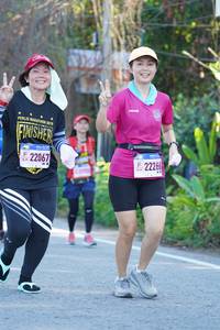 BIB: 22067, 22266
                            <button type="button" onclick="openModal(3641407)" class="btn btn-primary btn-sm float-right btn-popup" data-toggle="modal" data-target=".modal-high-quality">
                        <i class="fas fa-shopping-cart"></i> Add to Cart
                    </button>
                                            <button type="button" onclick="isThisMe(3641407, true)" class="btn btn-success btn-sm float-right btn-popup btn-isme hidden" data-toggle="tooltip" data-placement="bottom" title="นี่คือรูปของคุณใช่ไหม คลิกที่นี่เพื่อเอาเข้าอัลบั้ม">
                        <i class="fas fa-plus"></i> Add to album
                    </button>
                    <button type="button" onclick="isThisMe(3641407, false)" class="btn btn-warning btn-sm float-right btn-popup btn-isnotme hidden">
                        <i class="fas fa-ban"></i> Remove from album
                    </button>