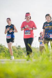 BIB: 2019, 21389, 22323
                            <button type="button" onclick="openModal(3832929)" class="btn btn-primary btn-sm float-right btn-popup" data-toggle="modal" data-target=".modal-high-quality">
                        <i class="fas fa-shopping-cart"></i> Add to Cart
                    </button>
                                            <button type="button" onclick="isThisMe(3832929, true)" class="btn btn-success btn-sm float-right btn-popup btn-isme hidden" data-toggle="tooltip" data-placement="bottom" title="นี่คือรูปของคุณใช่ไหม คลิกที่นี่เพื่อเอาเข้าอัลบั้ม">
                        <i class="fas fa-plus"></i> Add to album
                    </button>
                    <button type="button" onclick="isThisMe(3832929, false)" class="btn btn-warning btn-sm float-right btn-popup btn-isnotme hidden">
                        <i class="fas fa-ban"></i> Remove from album
                    </button>