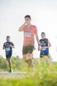 BIB: 21721
                            <button type="button" onclick="openModal(3832576)" class="btn btn-primary btn-sm float-right btn-popup" data-toggle="modal" data-target=".modal-high-quality">
                        <i class="fas fa-shopping-cart"></i> Add to Cart
                    </button>
                                            <button type="button" onclick="isThisMe(3832576, true)" class="btn btn-success btn-sm float-right btn-popup btn-isme hidden" data-toggle="tooltip" data-placement="bottom" title="นี่คือรูปของคุณใช่ไหม คลิกที่นี่เพื่อเอาเข้าอัลบั้ม">
                        <i class="fas fa-plus"></i> Add to album
                    </button>
                    <button type="button" onclick="isThisMe(3832576, false)" class="btn btn-warning btn-sm float-right btn-popup btn-isnotme hidden">
                        <i class="fas fa-ban"></i> Remove from album
                    </button>