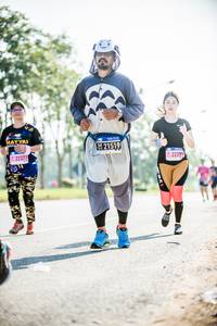 BIB: 21519, 22377, 22299
                            <button type="button" onclick="openModal(3810322)" class="btn btn-primary btn-sm float-right btn-popup" data-toggle="modal" data-target=".modal-high-quality">
                        <i class="fas fa-shopping-cart"></i> Add to Cart
                    </button>
                                            <button type="button" onclick="isThisMe(3810322, true)" class="btn btn-success btn-sm float-right btn-popup btn-isme hidden" data-toggle="tooltip" data-placement="bottom" title="นี่คือรูปของคุณใช่ไหม คลิกที่นี่เพื่อเอาเข้าอัลบั้ม">
                        <i class="fas fa-plus"></i> Add to album
                    </button>
                    <button type="button" onclick="isThisMe(3810322, false)" class="btn btn-warning btn-sm float-right btn-popup btn-isnotme hidden">
                        <i class="fas fa-ban"></i> Remove from album
                    </button>