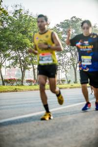 BIB: 
                            <button type="button" onclick="openModal(3779156)" class="btn btn-primary btn-sm float-right btn-popup" data-toggle="modal" data-target=".modal-high-quality">
                        <i class="fas fa-shopping-cart"></i> Add to Cart
                    </button>
                                            <button type="button" onclick="isThisMe(3779156, true)" class="btn btn-success btn-sm float-right btn-popup btn-isme hidden" data-toggle="tooltip" data-placement="bottom" title="นี่คือรูปของคุณใช่ไหม คลิกที่นี่เพื่อเอาเข้าอัลบั้ม">
                        <i class="fas fa-plus"></i> Add to album
                    </button>
                    <button type="button" onclick="isThisMe(3779156, false)" class="btn btn-warning btn-sm float-right btn-popup btn-isnotme hidden">
                        <i class="fas fa-ban"></i> Remove from album
                    </button>