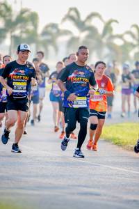 BIB: 2019, 12399
                            <button type="button" onclick="openModal(3816761)" class="btn btn-primary btn-sm float-right btn-popup" data-toggle="modal" data-target=".modal-high-quality">
                        <i class="fas fa-shopping-cart"></i> Add to Cart
                    </button>
                                            <button type="button" onclick="isThisMe(3816761, true)" class="btn btn-success btn-sm float-right btn-popup btn-isme hidden" data-toggle="tooltip" data-placement="bottom" title="นี่คือรูปของคุณใช่ไหม คลิกที่นี่เพื่อเอาเข้าอัลบั้ม">
                        <i class="fas fa-plus"></i> Add to album
                    </button>
                    <button type="button" onclick="isThisMe(3816761, false)" class="btn btn-warning btn-sm float-right btn-popup btn-isnotme hidden">
                        <i class="fas fa-ban"></i> Remove from album
                    </button>