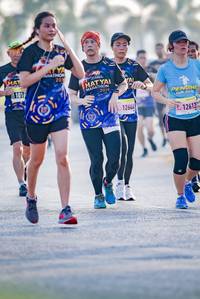 BIB: 12644, 12613
                            <button type="button" onclick="openModal(3799827)" class="btn btn-primary btn-sm float-right btn-popup" data-toggle="modal" data-target=".modal-high-quality">
                        <i class="fas fa-shopping-cart"></i> Add to Cart
                    </button>
                                            <button type="button" onclick="isThisMe(3799827, true)" class="btn btn-success btn-sm float-right btn-popup btn-isme hidden" data-toggle="tooltip" data-placement="bottom" title="นี่คือรูปของคุณใช่ไหม คลิกที่นี่เพื่อเอาเข้าอัลบั้ม">
                        <i class="fas fa-plus"></i> Add to album
                    </button>
                    <button type="button" onclick="isThisMe(3799827, false)" class="btn btn-warning btn-sm float-right btn-popup btn-isnotme hidden">
                        <i class="fas fa-ban"></i> Remove from album
                    </button>