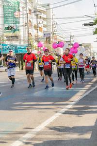 BIB: 
                            <button type="button" onclick="openModal(3770950)" class="btn btn-primary btn-sm float-right btn-popup" data-toggle="modal" data-target=".modal-high-quality">
                        <i class="fas fa-shopping-cart"></i> Add to Cart
                    </button>
                                            <button type="button" onclick="isThisMe(3770950, true)" class="btn btn-success btn-sm float-right btn-popup btn-isme hidden" data-toggle="tooltip" data-placement="bottom" title="นี่คือรูปของคุณใช่ไหม คลิกที่นี่เพื่อเอาเข้าอัลบั้ม">
                        <i class="fas fa-plus"></i> Add to album
                    </button>
                    <button type="button" onclick="isThisMe(3770950, false)" class="btn btn-warning btn-sm float-right btn-popup btn-isnotme hidden">
                        <i class="fas fa-ban"></i> Remove from album
                    </button>