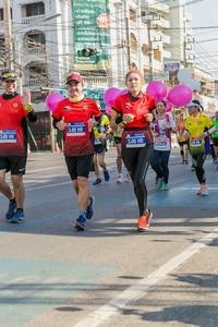 BIB: 300, , 
                            <button type="button" onclick="openModal(3770951)" class="btn btn-primary btn-sm float-right btn-popup" data-toggle="modal" data-target=".modal-high-quality">
                        <i class="fas fa-shopping-cart"></i> Add to Cart
                    </button>
                                            <button type="button" onclick="isThisMe(3770951, true)" class="btn btn-success btn-sm float-right btn-popup btn-isme hidden" data-toggle="tooltip" data-placement="bottom" title="นี่คือรูปของคุณใช่ไหม คลิกที่นี่เพื่อเอาเข้าอัลบั้ม">
                        <i class="fas fa-plus"></i> Add to album
                    </button>
                    <button type="button" onclick="isThisMe(3770951, false)" class="btn btn-warning btn-sm float-right btn-popup btn-isnotme hidden">
                        <i class="fas fa-ban"></i> Remove from album
                    </button>