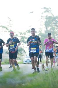 BIB: 11394, 10405
                            <button type="button" onclick="openModal(3774701)" class="btn btn-primary btn-sm float-right btn-popup" data-toggle="modal" data-target=".modal-high-quality">
                        <i class="fas fa-shopping-cart"></i> Add to Cart
                    </button>
                                            <button type="button" onclick="isThisMe(3774701, true)" class="btn btn-success btn-sm float-right btn-popup btn-isme hidden" data-toggle="tooltip" data-placement="bottom" title="นี่คือรูปของคุณใช่ไหม คลิกที่นี่เพื่อเอาเข้าอัลบั้ม">
                        <i class="fas fa-plus"></i> Add to album
                    </button>
                    <button type="button" onclick="isThisMe(3774701, false)" class="btn btn-warning btn-sm float-right btn-popup btn-isnotme hidden">
                        <i class="fas fa-ban"></i> Remove from album
                    </button>