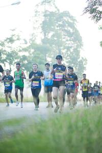 BIB: 12726, 12129
                            <button type="button" onclick="openModal(3774731)" class="btn btn-primary btn-sm float-right btn-popup" data-toggle="modal" data-target=".modal-high-quality">
                        <i class="fas fa-shopping-cart"></i> Add to Cart
                    </button>
                                            <button type="button" onclick="isThisMe(3774731, true)" class="btn btn-success btn-sm float-right btn-popup btn-isme hidden" data-toggle="tooltip" data-placement="bottom" title="นี่คือรูปของคุณใช่ไหม คลิกที่นี่เพื่อเอาเข้าอัลบั้ม">
                        <i class="fas fa-plus"></i> Add to album
                    </button>
                    <button type="button" onclick="isThisMe(3774731, false)" class="btn btn-warning btn-sm float-right btn-popup btn-isnotme hidden">
                        <i class="fas fa-ban"></i> Remove from album
                    </button>