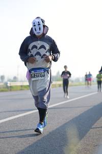 BIB: 21519
                            <button type="button" onclick="openModal(3727833)" class="btn btn-primary btn-sm float-right btn-popup" data-toggle="modal" data-target=".modal-high-quality">
                        <i class="fas fa-shopping-cart"></i> Add to Cart
                    </button>
                                            <button type="button" onclick="isThisMe(3727833, true)" class="btn btn-success btn-sm float-right btn-popup btn-isme hidden" data-toggle="tooltip" data-placement="bottom" title="นี่คือรูปของคุณใช่ไหม คลิกที่นี่เพื่อเอาเข้าอัลบั้ม">
                        <i class="fas fa-plus"></i> Add to album
                    </button>
                    <button type="button" onclick="isThisMe(3727833, false)" class="btn btn-warning btn-sm float-right btn-popup btn-isnotme hidden">
                        <i class="fas fa-ban"></i> Remove from album
                    </button>