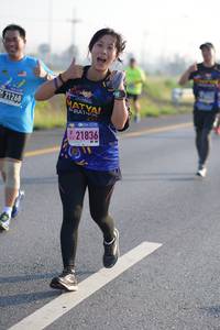 BIB: 21836
                            <button type="button" onclick="openModal(3715974)" class="btn btn-primary btn-sm float-right btn-popup" data-toggle="modal" data-target=".modal-high-quality">
                        <i class="fas fa-shopping-cart"></i> Add to Cart
                    </button>
                                            <button type="button" onclick="isThisMe(3715974, true)" class="btn btn-success btn-sm float-right btn-popup btn-isme hidden" data-toggle="tooltip" data-placement="bottom" title="นี่คือรูปของคุณใช่ไหม คลิกที่นี่เพื่อเอาเข้าอัลบั้ม">
                        <i class="fas fa-plus"></i> Add to album
                    </button>
                    <button type="button" onclick="isThisMe(3715974, false)" class="btn btn-warning btn-sm float-right btn-popup btn-isnotme hidden">
                        <i class="fas fa-ban"></i> Remove from album
                    </button>