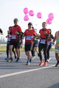 BIB: 300, 
                            <button type="button" onclick="openModal(3725879)" class="btn btn-primary btn-sm float-right btn-popup" data-toggle="modal" data-target=".modal-high-quality">
                        <i class="fas fa-shopping-cart"></i> Add to Cart
                    </button>
                                            <button type="button" onclick="isThisMe(3725879, true)" class="btn btn-success btn-sm float-right btn-popup btn-isme hidden" data-toggle="tooltip" data-placement="bottom" title="นี่คือรูปของคุณใช่ไหม คลิกที่นี่เพื่อเอาเข้าอัลบั้ม">
                        <i class="fas fa-plus"></i> Add to album
                    </button>
                    <button type="button" onclick="isThisMe(3725879, false)" class="btn btn-warning btn-sm float-right btn-popup btn-isnotme hidden">
                        <i class="fas fa-ban"></i> Remove from album
                    </button>