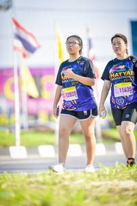 BIB: 2019, 201, 12020, 11635
                            <button type="button" onclick="openModal(3839294)" class="btn btn-primary btn-sm float-right btn-popup" data-toggle="modal" data-target=".modal-high-quality">
                        <i class="fas fa-shopping-cart"></i> Add to Cart
                    </button>
                                            <button type="button" onclick="isThisMe(3839294, true)" class="btn btn-success btn-sm float-right btn-popup btn-isme hidden" data-toggle="tooltip" data-placement="bottom" title="นี่คือรูปของคุณใช่ไหม คลิกที่นี่เพื่อเอาเข้าอัลบั้ม">
                        <i class="fas fa-plus"></i> Add to album
                    </button>
                    <button type="button" onclick="isThisMe(3839294, false)" class="btn btn-warning btn-sm float-right btn-popup btn-isnotme hidden">
                        <i class="fas fa-ban"></i> Remove from album
                    </button>