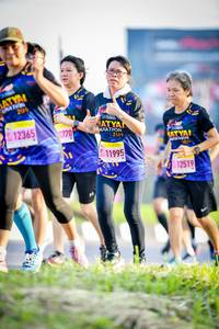 BIB: 2019, 12365770, 11995
                            <button type="button" onclick="openModal(3834260)" class="btn btn-primary btn-sm float-right btn-popup" data-toggle="modal" data-target=".modal-high-quality">
                        <i class="fas fa-shopping-cart"></i> Add to Cart
                    </button>
                                            <button type="button" onclick="isThisMe(3834260, true)" class="btn btn-success btn-sm float-right btn-popup btn-isme hidden" data-toggle="tooltip" data-placement="bottom" title="นี่คือรูปของคุณใช่ไหม คลิกที่นี่เพื่อเอาเข้าอัลบั้ม">
                        <i class="fas fa-plus"></i> Add to album
                    </button>
                    <button type="button" onclick="isThisMe(3834260, false)" class="btn btn-warning btn-sm float-right btn-popup btn-isnotme hidden">
                        <i class="fas fa-ban"></i> Remove from album
                    </button>