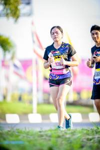 BIB: 
                            <button type="button" onclick="openModal(3833126)" class="btn btn-primary btn-sm float-right btn-popup" data-toggle="modal" data-target=".modal-high-quality">
                        <i class="fas fa-shopping-cart"></i> Add to Cart
                    </button>
                                            <button type="button" onclick="isThisMe(3833126, true)" class="btn btn-success btn-sm float-right btn-popup btn-isme hidden" data-toggle="tooltip" data-placement="bottom" title="นี่คือรูปของคุณใช่ไหม คลิกที่นี่เพื่อเอาเข้าอัลบั้ม">
                        <i class="fas fa-plus"></i> Add to album
                    </button>
                    <button type="button" onclick="isThisMe(3833126, false)" class="btn btn-warning btn-sm float-right btn-popup btn-isnotme hidden">
                        <i class="fas fa-ban"></i> Remove from album
                    </button>