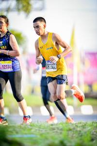 BIB: 12180, 20798
                            <button type="button" onclick="openModal(3831708)" class="btn btn-primary btn-sm float-right btn-popup" data-toggle="modal" data-target=".modal-high-quality">
                        <i class="fas fa-shopping-cart"></i> Add to Cart
                    </button>
                                            <button type="button" onclick="isThisMe(3831708, true)" class="btn btn-success btn-sm float-right btn-popup btn-isme hidden" data-toggle="tooltip" data-placement="bottom" title="นี่คือรูปของคุณใช่ไหม คลิกที่นี่เพื่อเอาเข้าอัลบั้ม">
                        <i class="fas fa-plus"></i> Add to album
                    </button>
                    <button type="button" onclick="isThisMe(3831708, false)" class="btn btn-warning btn-sm float-right btn-popup btn-isnotme hidden">
                        <i class="fas fa-ban"></i> Remove from album
                    </button>