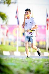 BIB: 12038
                            <button type="button" onclick="openModal(3831373)" class="btn btn-primary btn-sm float-right btn-popup" data-toggle="modal" data-target=".modal-high-quality">
                        <i class="fas fa-shopping-cart"></i> Add to Cart
                    </button>
                                            <button type="button" onclick="isThisMe(3831373, true)" class="btn btn-success btn-sm float-right btn-popup btn-isme hidden" data-toggle="tooltip" data-placement="bottom" title="นี่คือรูปของคุณใช่ไหม คลิกที่นี่เพื่อเอาเข้าอัลบั้ม">
                        <i class="fas fa-plus"></i> Add to album
                    </button>
                    <button type="button" onclick="isThisMe(3831373, false)" class="btn btn-warning btn-sm float-right btn-popup btn-isnotme hidden">
                        <i class="fas fa-ban"></i> Remove from album
                    </button>