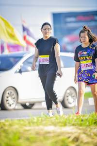 BIB: 12084, 12503
                            <button type="button" onclick="openModal(3838920)" class="btn btn-primary btn-sm float-right btn-popup" data-toggle="modal" data-target=".modal-high-quality">
                        <i class="fas fa-shopping-cart"></i> Add to Cart
                    </button>
                                            <button type="button" onclick="isThisMe(3838920, true)" class="btn btn-success btn-sm float-right btn-popup btn-isme hidden" data-toggle="tooltip" data-placement="bottom" title="นี่คือรูปของคุณใช่ไหม คลิกที่นี่เพื่อเอาเข้าอัลบั้ม">
                        <i class="fas fa-plus"></i> Add to album
                    </button>
                    <button type="button" onclick="isThisMe(3838920, false)" class="btn btn-warning btn-sm float-right btn-popup btn-isnotme hidden">
                        <i class="fas fa-ban"></i> Remove from album
                    </button>