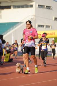 BIB: 
                            <button type="button" onclick="openModal(3696428)" class="btn btn-primary btn-sm float-right btn-popup" data-toggle="modal" data-target=".modal-high-quality">
                        <i class="fas fa-shopping-cart"></i> Add to Cart
                    </button>
                                            <button type="button" onclick="isThisMe(3696428, true)" class="btn btn-success btn-sm float-right btn-popup btn-isme hidden" data-toggle="tooltip" data-placement="bottom" title="นี่คือรูปของคุณใช่ไหม คลิกที่นี่เพื่อเอาเข้าอัลบั้ม">
                        <i class="fas fa-plus"></i> Add to album
                    </button>
                    <button type="button" onclick="isThisMe(3696428, false)" class="btn btn-warning btn-sm float-right btn-popup btn-isnotme hidden">
                        <i class="fas fa-ban"></i> Remove from album
                    </button>