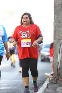 BIB: 11534
                            <button type="button" onclick="openModal(3685317)" class="btn btn-primary btn-sm float-right btn-popup" data-toggle="modal" data-target=".modal-high-quality">
                        <i class="fas fa-shopping-cart"></i> Add to Cart
                    </button>
                                            <button type="button" onclick="isThisMe(3685317, true)" class="btn btn-success btn-sm float-right btn-popup btn-isme hidden" data-toggle="tooltip" data-placement="bottom" title="นี่คือรูปของคุณใช่ไหม คลิกที่นี่เพื่อเอาเข้าอัลบั้ม">
                        <i class="fas fa-plus"></i> Add to album
                    </button>
                    <button type="button" onclick="isThisMe(3685317, false)" class="btn btn-warning btn-sm float-right btn-popup btn-isnotme hidden">
                        <i class="fas fa-ban"></i> Remove from album
                    </button>