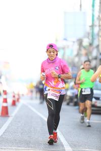 BIB: 41246
                            <button type="button" onclick="openModal(3557163)" class="btn btn-primary btn-sm float-right btn-popup" data-toggle="modal" data-target=".modal-high-quality">
                        <i class="fas fa-shopping-cart"></i> Add to Cart
                    </button>
                                            <button type="button" onclick="isThisMe(3557163, true)" class="btn btn-success btn-sm float-right btn-popup btn-isme hidden" data-toggle="tooltip" data-placement="bottom" title="นี่คือรูปของคุณใช่ไหม คลิกที่นี่เพื่อเอาเข้าอัลบั้ม">
                        <i class="fas fa-plus"></i> Add to album
                    </button>
                    <button type="button" onclick="isThisMe(3557163, false)" class="btn btn-warning btn-sm float-right btn-popup btn-isnotme hidden">
                        <i class="fas fa-ban"></i> Remove from album
                    </button>