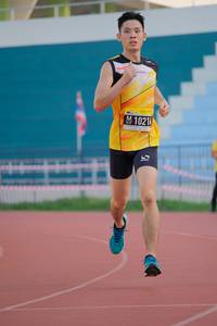 BIB: 102
                            <button type="button" onclick="openModal(3562319)" class="btn btn-primary btn-sm float-right btn-popup" data-toggle="modal" data-target=".modal-high-quality">
                        <i class="fas fa-shopping-cart"></i> Add to Cart
                    </button>
                                            <button type="button" onclick="isThisMe(3562319, true)" class="btn btn-success btn-sm float-right btn-popup btn-isme hidden" data-toggle="tooltip" data-placement="bottom" title="นี่คือรูปของคุณใช่ไหม คลิกที่นี่เพื่อเอาเข้าอัลบั้ม">
                        <i class="fas fa-plus"></i> Add to album
                    </button>
                    <button type="button" onclick="isThisMe(3562319, false)" class="btn btn-warning btn-sm float-right btn-popup btn-isnotme hidden">
                        <i class="fas fa-ban"></i> Remove from album
                    </button>