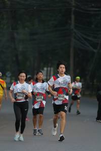 BIB: 6145, 6546, 6070
                            <button type="button" onclick="openModal(6395432)" class="btn btn-primary btn-sm float-right btn-popup" data-toggle="modal" data-target=".modal-high-quality">
                        <i class="fas fa-shopping-cart"></i> Add to Cart
                    </button>
                                            <button type="button" onclick="isThisMe(6395432, true)" class="btn btn-success btn-sm float-right btn-popup btn-isme hidden" data-toggle="tooltip" data-placement="bottom" title="นี่คือรูปของคุณใช่ไหม คลิกที่นี่เพื่อเอาเข้าอัลบั้ม">
                        <i class="fas fa-plus"></i> Add to album
                    </button>
                    <button type="button" onclick="isThisMe(6395432, false)" class="btn btn-warning btn-sm float-right btn-popup btn-isnotme hidden">
                        <i class="fas fa-ban"></i> Remove from album
                    </button>