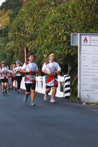 BIB: 
                            <button type="button" onclick="openModal(6456141)" class="btn btn-primary btn-sm float-right btn-popup" data-toggle="modal" data-target=".modal-high-quality">
                        <i class="fas fa-shopping-cart"></i> Add to Cart
                    </button>
                                            <button type="button" onclick="isThisMe(6456141, true)" class="btn btn-success btn-sm float-right btn-popup btn-isme hidden" data-toggle="tooltip" data-placement="bottom" title="นี่คือรูปของคุณใช่ไหม คลิกที่นี่เพื่อเอาเข้าอัลบั้ม">
                        <i class="fas fa-plus"></i> Add to album
                    </button>
                    <button type="button" onclick="isThisMe(6456141, false)" class="btn btn-warning btn-sm float-right btn-popup btn-isnotme hidden">
                        <i class="fas fa-ban"></i> Remove from album
                    </button>