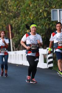 BIB: 640, 6569, 6123
                            <button type="button" onclick="openModal(6457065)" class="btn btn-primary btn-sm float-right btn-popup" data-toggle="modal" data-target=".modal-high-quality">
                        <i class="fas fa-shopping-cart"></i> Add to Cart
                    </button>
                                            <button type="button" onclick="isThisMe(6457065, true)" class="btn btn-success btn-sm float-right btn-popup btn-isme hidden" data-toggle="tooltip" data-placement="bottom" title="นี่คือรูปของคุณใช่ไหม คลิกที่นี่เพื่อเอาเข้าอัลบั้ม">
                        <i class="fas fa-plus"></i> Add to album
                    </button>
                    <button type="button" onclick="isThisMe(6457065, false)" class="btn btn-warning btn-sm float-right btn-popup btn-isnotme hidden">
                        <i class="fas fa-ban"></i> Remove from album
                    </button>