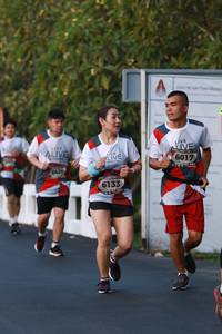 BIB: 6017, 6133
                            <button type="button" onclick="openModal(6456091)" class="btn btn-primary btn-sm float-right btn-popup" data-toggle="modal" data-target=".modal-high-quality">
                        <i class="fas fa-shopping-cart"></i> Add to Cart
                    </button>
                                            <button type="button" onclick="isThisMe(6456091, true)" class="btn btn-success btn-sm float-right btn-popup btn-isme hidden" data-toggle="tooltip" data-placement="bottom" title="นี่คือรูปของคุณใช่ไหม คลิกที่นี่เพื่อเอาเข้าอัลบั้ม">
                        <i class="fas fa-plus"></i> Add to album
                    </button>
                    <button type="button" onclick="isThisMe(6456091, false)" class="btn btn-warning btn-sm float-right btn-popup btn-isnotme hidden">
                        <i class="fas fa-ban"></i> Remove from album
                    </button>