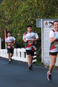 BIB: 6357, 6424
                            <button type="button" onclick="openModal(6456093)" class="btn btn-primary btn-sm float-right btn-popup" data-toggle="modal" data-target=".modal-high-quality">
                        <i class="fas fa-shopping-cart"></i> Add to Cart
                    </button>
                                            <button type="button" onclick="isThisMe(6456093, true)" class="btn btn-success btn-sm float-right btn-popup btn-isme hidden" data-toggle="tooltip" data-placement="bottom" title="นี่คือรูปของคุณใช่ไหม คลิกที่นี่เพื่อเอาเข้าอัลบั้ม">
                        <i class="fas fa-plus"></i> Add to album
                    </button>
                    <button type="button" onclick="isThisMe(6456093, false)" class="btn btn-warning btn-sm float-right btn-popup btn-isnotme hidden">
                        <i class="fas fa-ban"></i> Remove from album
                    </button>