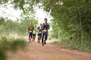 BIB: 
                            <button type="button" onclick="openModal(4203059)" class="btn btn-primary btn-sm float-right btn-popup" data-toggle="modal" data-target=".modal-high-quality">
                        <i class="fas fa-shopping-cart"></i> Add to Cart
                    </button>
                                            <button type="button" onclick="isThisMe(4203059, true)" class="btn btn-success btn-sm float-right btn-popup btn-isme hidden" data-toggle="tooltip" data-placement="bottom" title="นี่คือรูปของคุณใช่ไหม คลิกที่นี่เพื่อเอาเข้าอัลบั้ม">
                        <i class="fas fa-plus"></i> Add to album
                    </button>
                    <button type="button" onclick="isThisMe(4203059, false)" class="btn btn-warning btn-sm float-right btn-popup btn-isnotme hidden">
                        <i class="fas fa-ban"></i> Remove from album
                    </button>