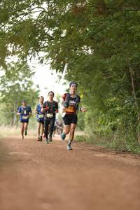 BIB: 
                            <button type="button" onclick="openModal(4202316)" class="btn btn-primary btn-sm float-right btn-popup" data-toggle="modal" data-target=".modal-high-quality">
                        <i class="fas fa-shopping-cart"></i> Add to Cart
                    </button>
                                            <button type="button" onclick="isThisMe(4202316, true)" class="btn btn-success btn-sm float-right btn-popup btn-isme hidden" data-toggle="tooltip" data-placement="bottom" title="นี่คือรูปของคุณใช่ไหม คลิกที่นี่เพื่อเอาเข้าอัลบั้ม">
                        <i class="fas fa-plus"></i> Add to album
                    </button>
                    <button type="button" onclick="isThisMe(4202316, false)" class="btn btn-warning btn-sm float-right btn-popup btn-isnotme hidden">
                        <i class="fas fa-ban"></i> Remove from album
                    </button>