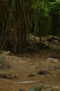 BIB: 
                            <button type="button" onclick="openModal(4069016)" class="btn btn-primary btn-sm float-right btn-popup" data-toggle="modal" data-target=".modal-high-quality">
                        <i class="fas fa-shopping-cart"></i> Add to Cart
                    </button>
                                            <button type="button" onclick="isThisMe(4069016, true)" class="btn btn-success btn-sm float-right btn-popup btn-isme hidden" data-toggle="tooltip" data-placement="bottom" title="นี่คือรูปของคุณใช่ไหม คลิกที่นี่เพื่อเอาเข้าอัลบั้ม">
                        <i class="fas fa-plus"></i> Add to album
                    </button>
                    <button type="button" onclick="isThisMe(4069016, false)" class="btn btn-warning btn-sm float-right btn-popup btn-isnotme hidden">
                        <i class="fas fa-ban"></i> Remove from album
                    </button>