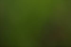 BIB: 
                            <button type="button" onclick="openModal(4011497)" class="btn btn-primary btn-sm float-right btn-popup" data-toggle="modal" data-target=".modal-high-quality">
                        <i class="fas fa-shopping-cart"></i> Add to Cart
                    </button>
                                            <button type="button" onclick="isThisMe(4011497, true)" class="btn btn-success btn-sm float-right btn-popup btn-isme hidden" data-toggle="tooltip" data-placement="bottom" title="นี่คือรูปของคุณใช่ไหม คลิกที่นี่เพื่อเอาเข้าอัลบั้ม">
                        <i class="fas fa-plus"></i> Add to album
                    </button>
                    <button type="button" onclick="isThisMe(4011497, false)" class="btn btn-warning btn-sm float-right btn-popup btn-isnotme hidden">
                        <i class="fas fa-ban"></i> Remove from album
                    </button>