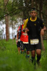 BIB: 5052
                            <button type="button" onclick="openModal(4010260)" class="btn btn-primary btn-sm float-right btn-popup" data-toggle="modal" data-target=".modal-high-quality">
                        <i class="fas fa-shopping-cart"></i> Add to Cart
                    </button>
                                            <button type="button" onclick="isThisMe(4010260, true)" class="btn btn-success btn-sm float-right btn-popup btn-isme hidden" data-toggle="tooltip" data-placement="bottom" title="นี่คือรูปของคุณใช่ไหม คลิกที่นี่เพื่อเอาเข้าอัลบั้ม">
                        <i class="fas fa-plus"></i> Add to album
                    </button>
                    <button type="button" onclick="isThisMe(4010260, false)" class="btn btn-warning btn-sm float-right btn-popup btn-isnotme hidden">
                        <i class="fas fa-ban"></i> Remove from album
                    </button>