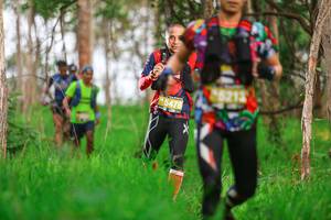 BIB: 
                            <button type="button" onclick="openModal(4173283)" class="btn btn-primary btn-sm float-right btn-popup" data-toggle="modal" data-target=".modal-high-quality">
                        <i class="fas fa-shopping-cart"></i> Add to Cart
                    </button>
                                            <button type="button" onclick="isThisMe(4173283, true)" class="btn btn-success btn-sm float-right btn-popup btn-isme hidden" data-toggle="tooltip" data-placement="bottom" title="นี่คือรูปของคุณใช่ไหม คลิกที่นี่เพื่อเอาเข้าอัลบั้ม">
                        <i class="fas fa-plus"></i> Add to album
                    </button>
                    <button type="button" onclick="isThisMe(4173283, false)" class="btn btn-warning btn-sm float-right btn-popup btn-isnotme hidden">
                        <i class="fas fa-ban"></i> Remove from album
                    </button>