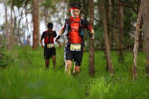 BIB: 5605, 178
                            <button type="button" onclick="openModal(4009370)" class="btn btn-primary btn-sm float-right btn-popup" data-toggle="modal" data-target=".modal-high-quality">
                        <i class="fas fa-shopping-cart"></i> Add to Cart
                    </button>
                                            <button type="button" onclick="isThisMe(4009370, true)" class="btn btn-success btn-sm float-right btn-popup btn-isme hidden" data-toggle="tooltip" data-placement="bottom" title="นี่คือรูปของคุณใช่ไหม คลิกที่นี่เพื่อเอาเข้าอัลบั้ม">
                        <i class="fas fa-plus"></i> Add to album
                    </button>
                    <button type="button" onclick="isThisMe(4009370, false)" class="btn btn-warning btn-sm float-right btn-popup btn-isnotme hidden">
                        <i class="fas fa-ban"></i> Remove from album
                    </button>