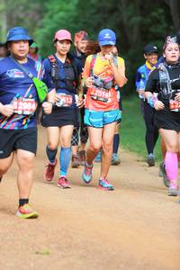 BIB: 2514, 513, 2984
                            <button type="button" onclick="openModal(4325595)" class="btn btn-primary btn-sm float-right btn-popup" data-toggle="modal" data-target=".modal-high-quality">
                        <i class="fas fa-shopping-cart"></i> Add to Cart
                    </button>
                                            <button type="button" onclick="isThisMe(4325595, true)" class="btn btn-success btn-sm float-right btn-popup btn-isme hidden" data-toggle="tooltip" data-placement="bottom" title="นี่คือรูปของคุณใช่ไหม คลิกที่นี่เพื่อเอาเข้าอัลบั้ม">
                        <i class="fas fa-plus"></i> Add to album
                    </button>
                    <button type="button" onclick="isThisMe(4325595, false)" class="btn btn-warning btn-sm float-right btn-popup btn-isnotme hidden">
                        <i class="fas fa-ban"></i> Remove from album
                    </button>