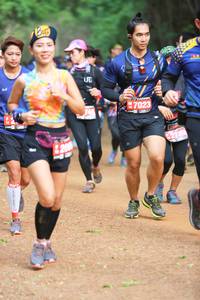 BIB: 7023, 200
                            <button type="button" onclick="openModal(4322560)" class="btn btn-primary btn-sm float-right btn-popup" data-toggle="modal" data-target=".modal-high-quality">
                        <i class="fas fa-shopping-cart"></i> Add to Cart
                    </button>
                                            <button type="button" onclick="isThisMe(4322560, true)" class="btn btn-success btn-sm float-right btn-popup btn-isme hidden" data-toggle="tooltip" data-placement="bottom" title="นี่คือรูปของคุณใช่ไหม คลิกที่นี่เพื่อเอาเข้าอัลบั้ม">
                        <i class="fas fa-plus"></i> Add to album
                    </button>
                    <button type="button" onclick="isThisMe(4322560, false)" class="btn btn-warning btn-sm float-right btn-popup btn-isnotme hidden">
                        <i class="fas fa-ban"></i> Remove from album
                    </button>