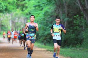 BIB: 
                            <button type="button" onclick="openModal(4327691)" class="btn btn-primary btn-sm float-right btn-popup" data-toggle="modal" data-target=".modal-high-quality">
                        <i class="fas fa-shopping-cart"></i> Add to Cart
                    </button>
                                            <button type="button" onclick="isThisMe(4327691, true)" class="btn btn-success btn-sm float-right btn-popup btn-isme hidden" data-toggle="tooltip" data-placement="bottom" title="นี่คือรูปของคุณใช่ไหม คลิกที่นี่เพื่อเอาเข้าอัลบั้ม">
                        <i class="fas fa-plus"></i> Add to album
                    </button>
                    <button type="button" onclick="isThisMe(4327691, false)" class="btn btn-warning btn-sm float-right btn-popup btn-isnotme hidden">
                        <i class="fas fa-ban"></i> Remove from album
                    </button>