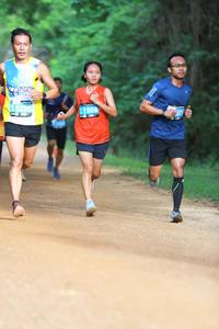 BIB: 6228, 1956
                            <button type="button" onclick="openModal(4327764)" class="btn btn-primary btn-sm float-right btn-popup" data-toggle="modal" data-target=".modal-high-quality">
                        <i class="fas fa-shopping-cart"></i> Add to Cart
                    </button>
                                            <button type="button" onclick="isThisMe(4327764, true)" class="btn btn-success btn-sm float-right btn-popup btn-isme hidden" data-toggle="tooltip" data-placement="bottom" title="นี่คือรูปของคุณใช่ไหม คลิกที่นี่เพื่อเอาเข้าอัลบั้ม">
                        <i class="fas fa-plus"></i> Add to album
                    </button>
                    <button type="button" onclick="isThisMe(4327764, false)" class="btn btn-warning btn-sm float-right btn-popup btn-isnotme hidden">
                        <i class="fas fa-ban"></i> Remove from album
                    </button>