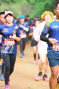 BIB: 2693
                            <button type="button" onclick="openModal(4323764)" class="btn btn-primary btn-sm float-right btn-popup" data-toggle="modal" data-target=".modal-high-quality">
                        <i class="fas fa-shopping-cart"></i> Add to Cart
                    </button>
                                            <button type="button" onclick="isThisMe(4323764, true)" class="btn btn-success btn-sm float-right btn-popup btn-isme hidden" data-toggle="tooltip" data-placement="bottom" title="นี่คือรูปของคุณใช่ไหม คลิกที่นี่เพื่อเอาเข้าอัลบั้ม">
                        <i class="fas fa-plus"></i> Add to album
                    </button>
                    <button type="button" onclick="isThisMe(4323764, false)" class="btn btn-warning btn-sm float-right btn-popup btn-isnotme hidden">
                        <i class="fas fa-ban"></i> Remove from album
                    </button>