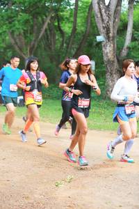 BIB: 
                            <button type="button" onclick="openModal(4322429)" class="btn btn-primary btn-sm float-right btn-popup" data-toggle="modal" data-target=".modal-high-quality">
                        <i class="fas fa-shopping-cart"></i> Add to Cart
                    </button>
                                            <button type="button" onclick="isThisMe(4322429, true)" class="btn btn-success btn-sm float-right btn-popup btn-isme hidden" data-toggle="tooltip" data-placement="bottom" title="นี่คือรูปของคุณใช่ไหม คลิกที่นี่เพื่อเอาเข้าอัลบั้ม">
                        <i class="fas fa-plus"></i> Add to album
                    </button>
                    <button type="button" onclick="isThisMe(4322429, false)" class="btn btn-warning btn-sm float-right btn-popup btn-isnotme hidden">
                        <i class="fas fa-ban"></i> Remove from album
                    </button>