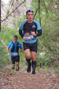 BIB: 3977, 
                            <button type="button" onclick="openModal(3947576)" class="btn btn-primary btn-sm float-right btn-popup" data-toggle="modal" data-target=".modal-high-quality">
                        <i class="fas fa-shopping-cart"></i> Add to Cart
                    </button>
                                            <button type="button" onclick="isThisMe(3947576, true)" class="btn btn-success btn-sm float-right btn-popup btn-isme hidden" data-toggle="tooltip" data-placement="bottom" title="นี่คือรูปของคุณใช่ไหม คลิกที่นี่เพื่อเอาเข้าอัลบั้ม">
                        <i class="fas fa-plus"></i> Add to album
                    </button>
                    <button type="button" onclick="isThisMe(3947576, false)" class="btn btn-warning btn-sm float-right btn-popup btn-isnotme hidden">
                        <i class="fas fa-ban"></i> Remove from album
                    </button>