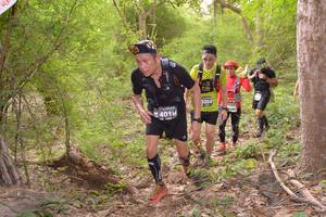 BIB: 3354, 488, 4018
                            <button type="button" onclick="openModal(3968721)" class="btn btn-primary btn-sm float-right btn-popup" data-toggle="modal" data-target=".modal-high-quality">
                        <i class="fas fa-shopping-cart"></i> Add to Cart
                    </button>
                                            <button type="button" onclick="isThisMe(3968721, true)" class="btn btn-success btn-sm float-right btn-popup btn-isme hidden" data-toggle="tooltip" data-placement="bottom" title="นี่คือรูปของคุณใช่ไหม คลิกที่นี่เพื่อเอาเข้าอัลบั้ม">
                        <i class="fas fa-plus"></i> Add to album
                    </button>
                    <button type="button" onclick="isThisMe(3968721, false)" class="btn btn-warning btn-sm float-right btn-popup btn-isnotme hidden">
                        <i class="fas fa-ban"></i> Remove from album
                    </button>