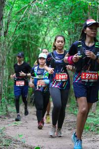 BIB: 2761, 2467, 2714
                            <button type="button" onclick="openModal(4286658)" class="btn btn-primary btn-sm float-right btn-popup" data-toggle="modal" data-target=".modal-high-quality">
                        <i class="fas fa-shopping-cart"></i> Add to Cart
                    </button>
                                            <button type="button" onclick="isThisMe(4286658, true)" class="btn btn-success btn-sm float-right btn-popup btn-isme hidden" data-toggle="tooltip" data-placement="bottom" title="นี่คือรูปของคุณใช่ไหม คลิกที่นี่เพื่อเอาเข้าอัลบั้ม">
                        <i class="fas fa-plus"></i> Add to album
                    </button>
                    <button type="button" onclick="isThisMe(4286658, false)" class="btn btn-warning btn-sm float-right btn-popup btn-isnotme hidden">
                        <i class="fas fa-ban"></i> Remove from album
                    </button>